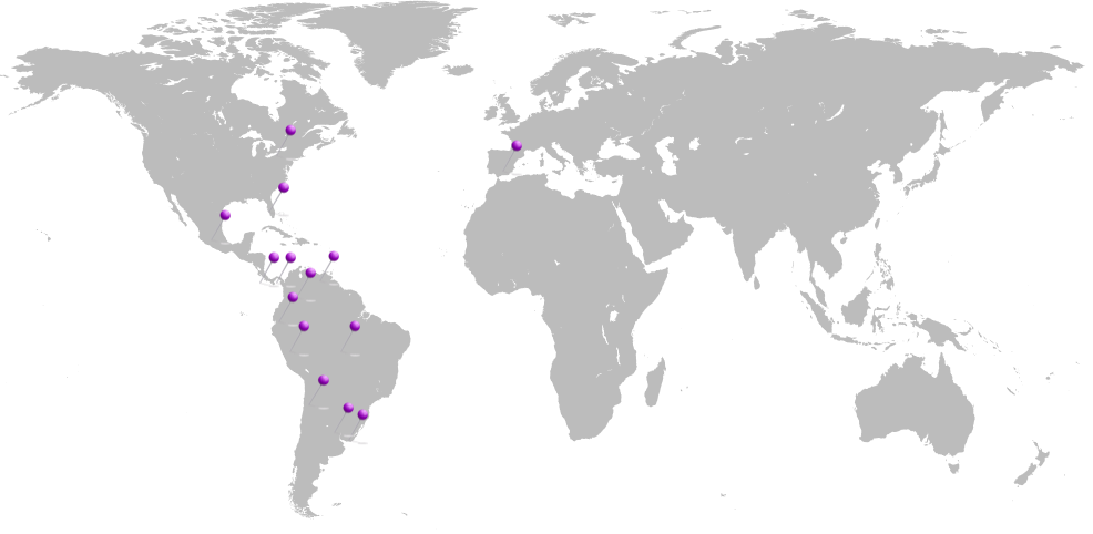 Mundo con servicio por paises demarcados